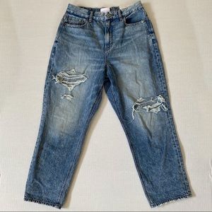 American Eagle Curvy Mom Jean Size 8 Short